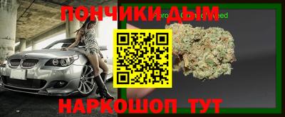 крисы Новодвинск