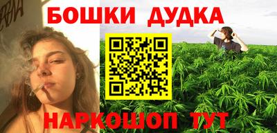 индика Новозыбков