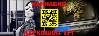 крисы Новодвинск