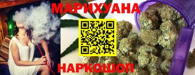 индика Новозыбков