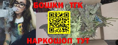 индика Новозыбков