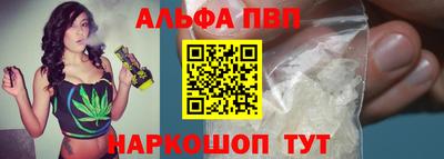 крисы Новодвинск