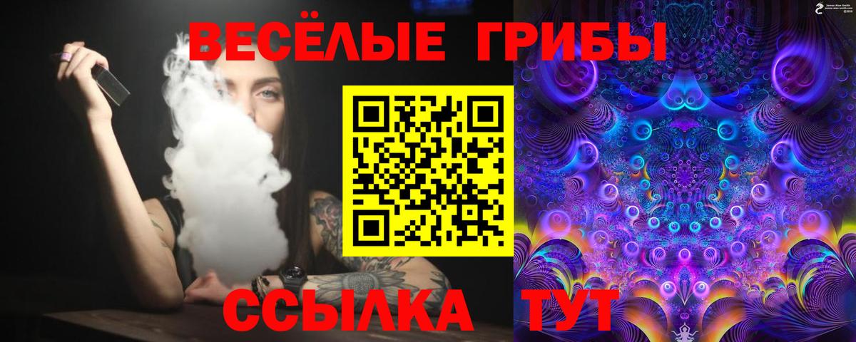Галлюциногенные грибы мицелий  Вход с VPN  Псилоцибиновые грибы мухоморы  Тамбов 